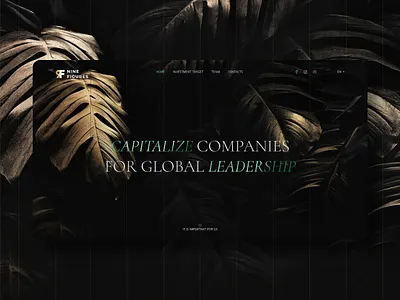 Venture Fund | UX/UI design & WordPress Development 3d animation branding concept design graphic design illustration logo minimal motion graphics ui ux web website
