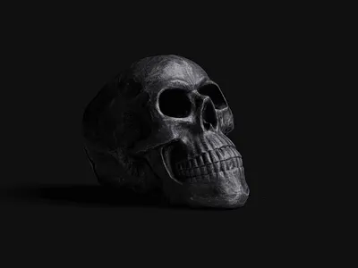 Dark matter 3d black cinema 4d dark horror nft photogrammetry redshift scary skull