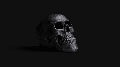 Dark matter 3d black cinema 4d dark horror nft photogrammetry redshift scary skull