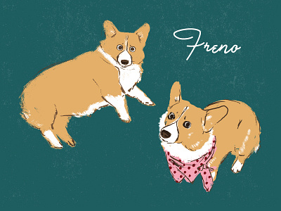 Freno corgi design illustration montana