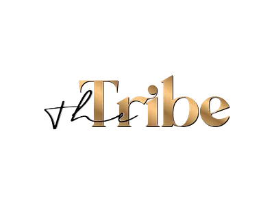 logo 2 branding design illustration logo logo design logotype typography