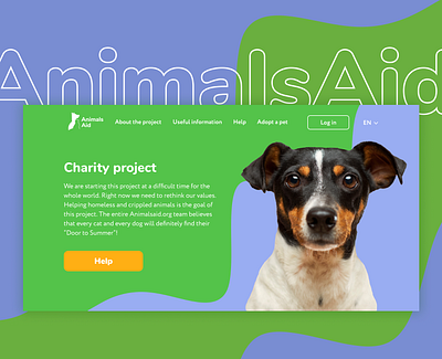 Charity Project to Help Animals animals cats design dogs help homeless kindness pets ui ux web