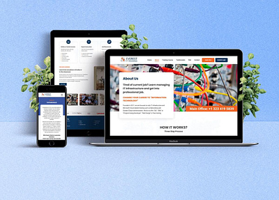 Everest Ittraining Center branding graphic design illustration ui web web development webdesign