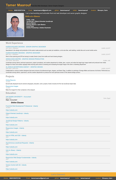 Online Resume graphic design ui