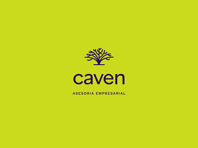 caven accounting advisor brand brand design brand identity branding business concept logo design flat logo