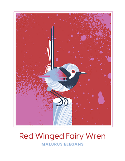 Red Winged Fairy Wren animal bird character design fairy flight geometric illustration landscape texture vector wren