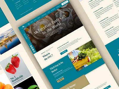 Egyptian Food Export Council (FEC) Website Redesign brand strategy content writing food beverage institution ui user experience user interface ux web design website design