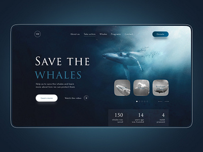 Landing Page for the Charitable foundation <Save the Whales> charitable foundation design landing page landing page for whales save the whales ui web design whales