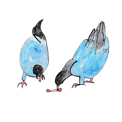 Pigeons eat fried chicken animal birds drawing editorial funny graphic design ill illustration life magazine newyork