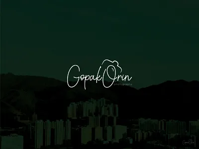 Signature Photography logo 2022 branding creative design design trend 2022 graphic design illustration illustrator logo ideas logo inspirations mark minimal photography signature logo typography logo