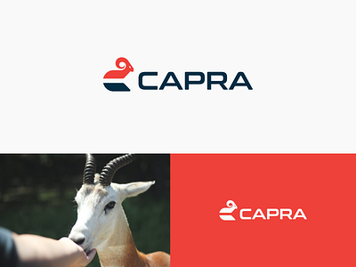 CAPRA Logo Design a b c d e f g h i j k l m n abstract branding capra logo convert crypto currency goat logo letter mark monogram lettermark logo logo design logomark logos logotype o p q r s t u v w x y z symbol tech data technology trade vector