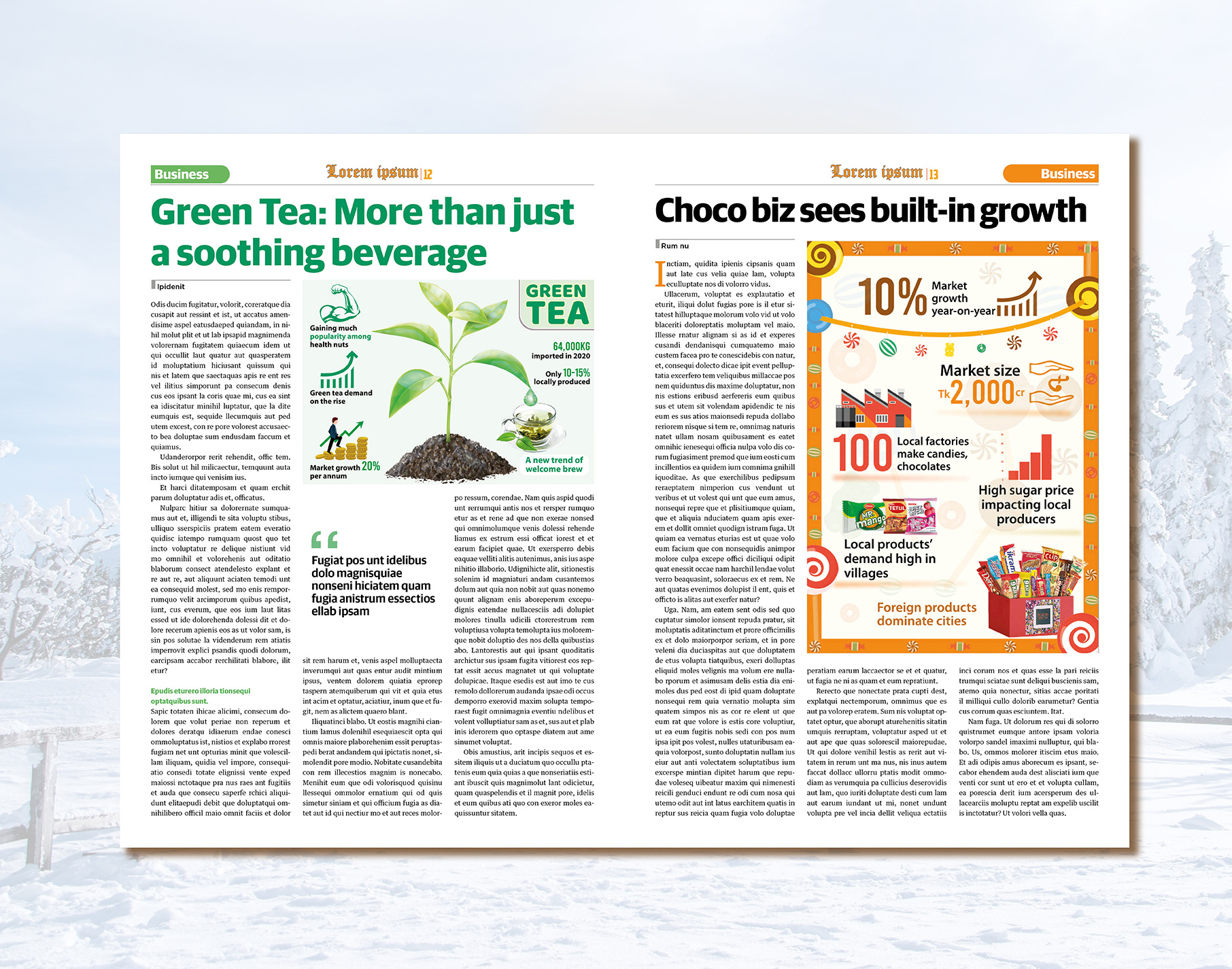 Example of Best Magazine Design Service