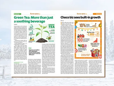 Professional Business Magazine Design cover cover design design editorial editorial design illustration magazine cover magazine design magazine layout design magazines layout design