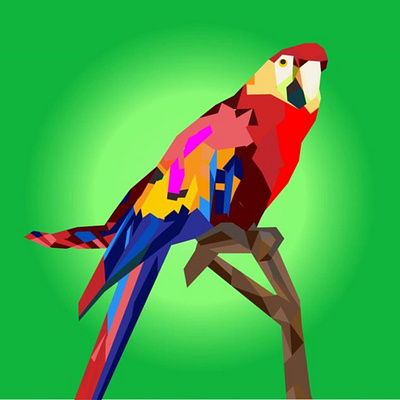 Loro colors design illustration low poly vector