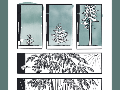 Thuja plicata Seed Journey: Detail branches calm cedar comic conifer forest green growth hand drawn illustration illustrator nature nonfiction pacific northwest panels procreate scientific tree watercolor western red cedar