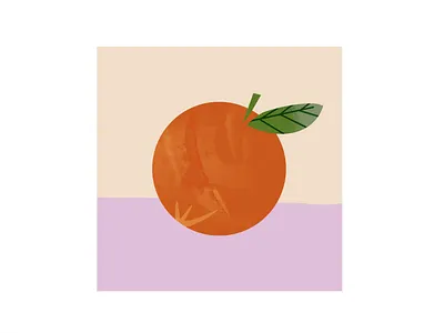 an orange illustration leaf nature orange 插图