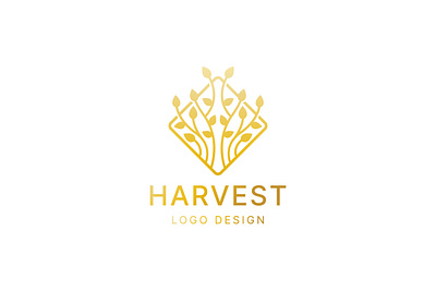 Harvest Logo branch branding company design ecology exclusive farm gold harvest leaf leaves line logo luxury minimalist natural nature plant square tree
