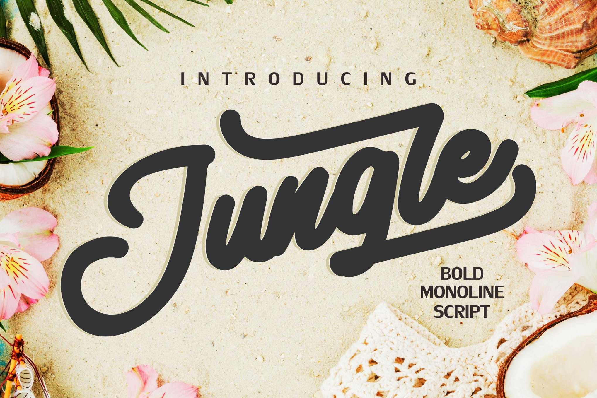 Jungle | Monoline Bold Font app bold branding design display font graphic design illustration logo monoline serif typeface typography ui ux vector