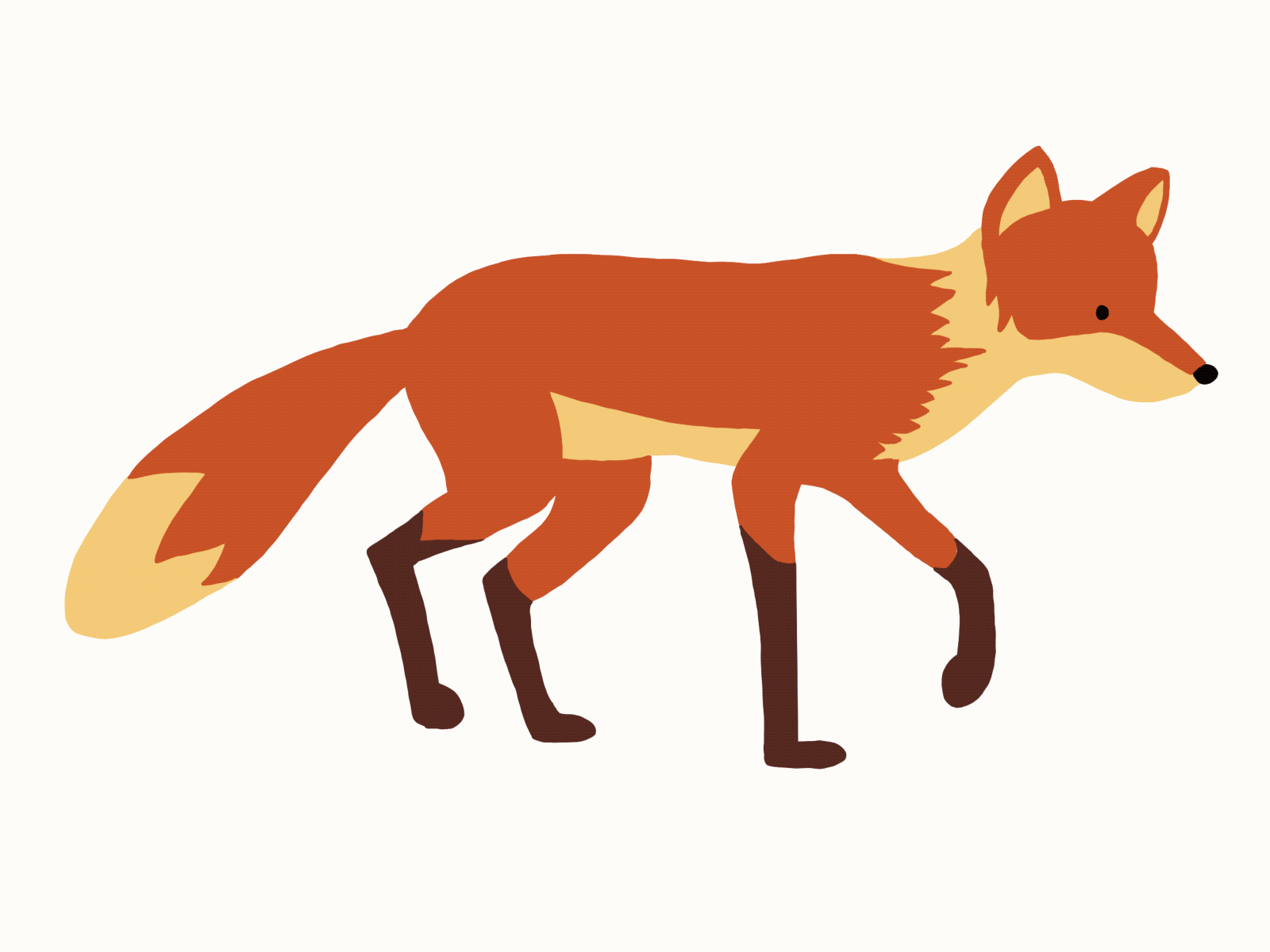 Walking fox animal animal art animatie animation art character digital animation digital art digital illustration digital painting drawing fox illustratie illustration motion motion design motion graphic motion graphics procreate walking