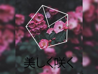 Bloom Beautifully bloom design graphicdesign inspirational