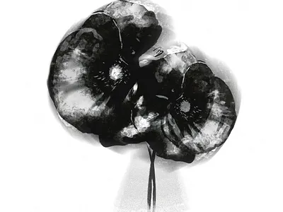 Winter annoys me. adobe fresco adobe photoshop black digital art digital illustration illustration white