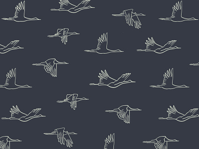 Birds Illustration bird birds brand branding crane fabric fashion flying hand drawn hand lettering huntsville illustration letteromg logo navy pattern retro surface pattern vintage wallpaper