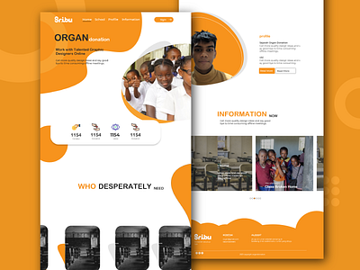 Donation Web Design adobe ilustrator adobe xd donation ui ui design web design website