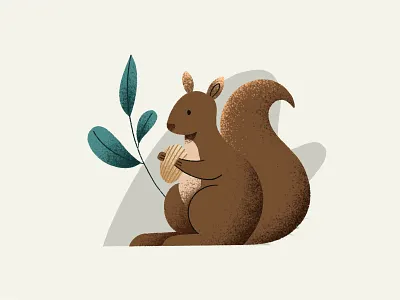 Squirrel animal animal illustration graphic design illustration illustrator squirrel squirrel illustration