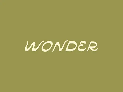 Wonder Lettering lettering type design typography