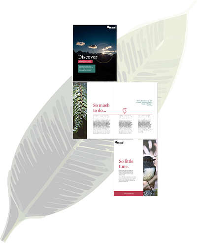 Travel brochure #indesign brochure design graphic design illustration indesign typography