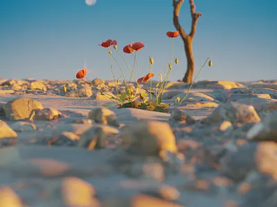 difference 3ddesign art artist blender blue dark digital flower illustration landscape light moon rock