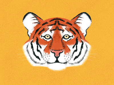 Le Tigre design illustration illustrator orange procreate tiger