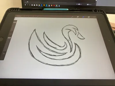 Swan logo 3d animals animation apparel bird branding design esport graphic design icon illustration initials logo modern motion graphics simple sketc swan symbol ui