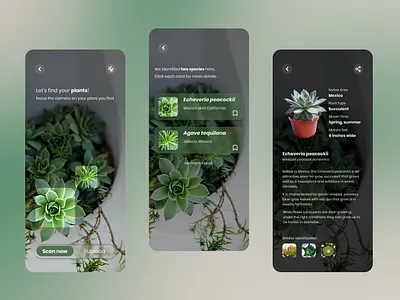 Plant Detection | Plant Identification | Mobile Design branding design graphic design ios landing page landing page website mobile mobile design mobile ui plant detection plants ui ux