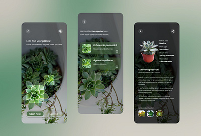 Plant Detection | Plant Identification | Mobile Design branding design graphic design ios landing page landing page website mobile mobile design mobile ui plant detection plants ui ux