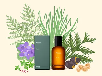 Aesop Illustration Design aesop artwork branding branding design colorful concept cute design elegant flora flower fragrance graphic design herb illustration illustration art illustration design nature perfume