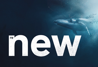 Renew Magazine branding design graphic design layout logo