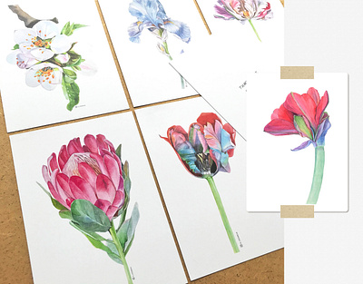 Set of watercolor flowers aquarell card collection colorful design flower watercolor