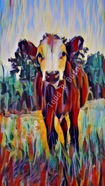 Moo