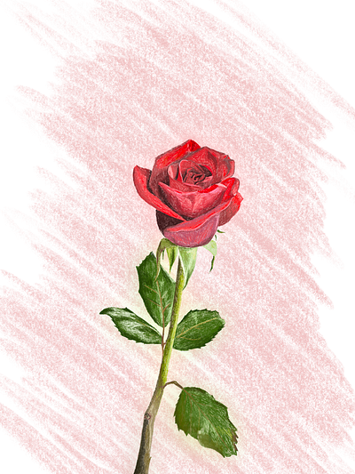 With Love - Procreate Sketch art drawing flower illustration sketch valentines