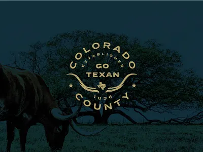 Colorado County beef cattle city county cowboy lockup longhorn municipality ranch steer texas