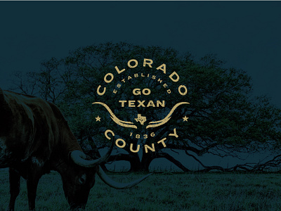 Colorado County beef cattle city county cowboy lockup longhorn municipality ranch steer texas