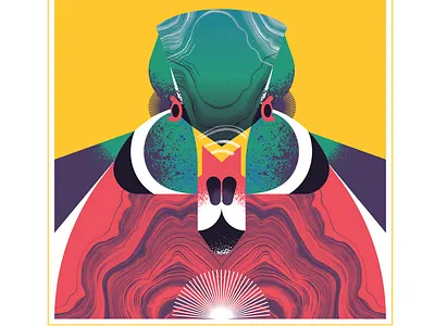 Wood Duck animal bird character design duck feather flight geometric illustration texture vector woodduck