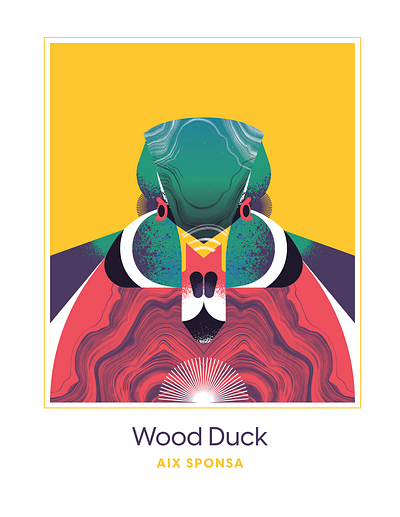 Wood Duck animal bird character design duck feather flight geometric illustration texture vector woodduck