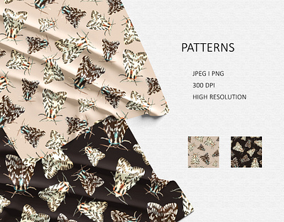 Moth aquarell beige brown butterfly design illustration moth pattern seamless water watercolor
