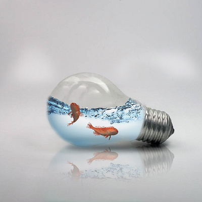 Photo Manipulation graphic design