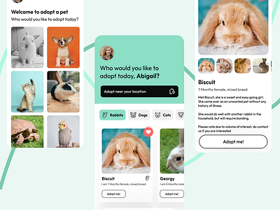 Pet adoption app design minimal product design ui ux