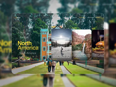 tripstar - UI/UX design animation design figma graphic design trend ui