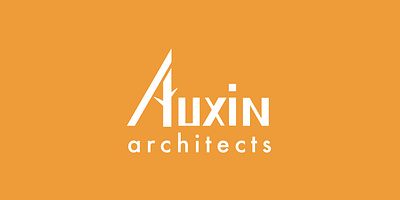 Auxin Architects Logo architecture brand identity branding design logo