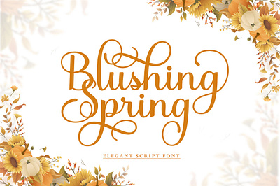 Blusing Spring app branding design illustration logo sc script typography vector